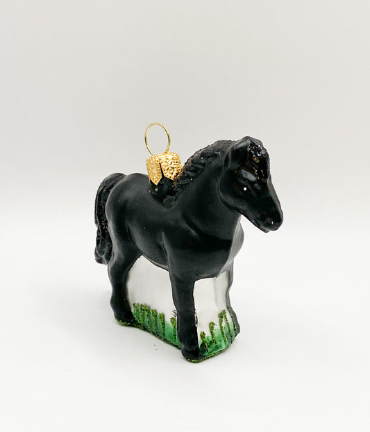 Kleines schwarzes Pferd