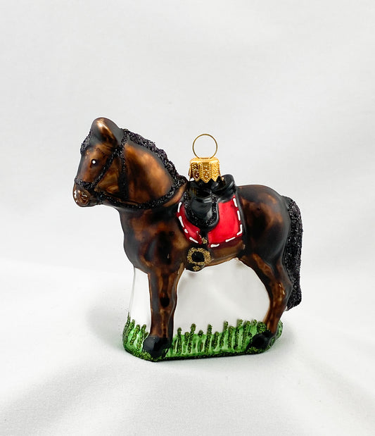 Dunkelbraunes Pferd mit roter Satteldecke