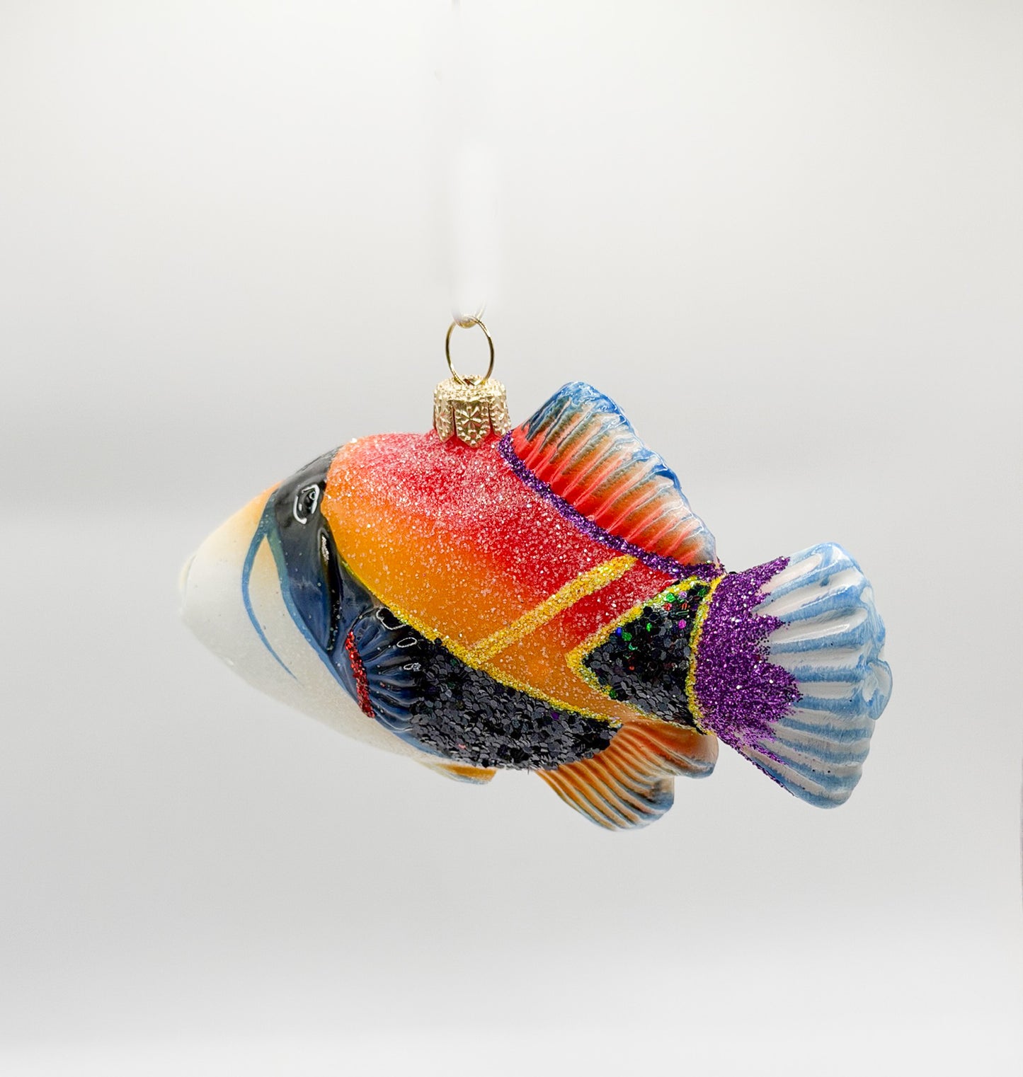 Diamant Picasso-Drückerfisch