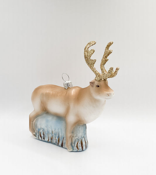 Rentier in der Tundra