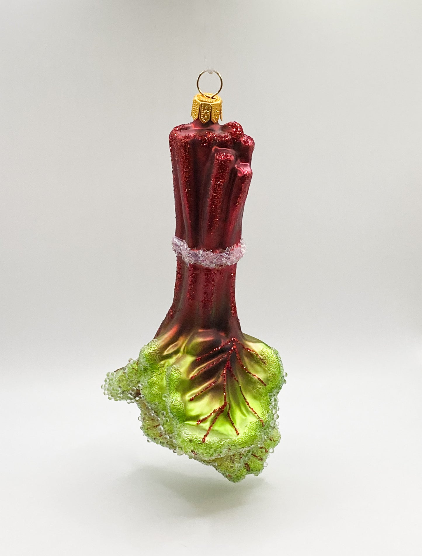 Bunch of rhubarb with leaves