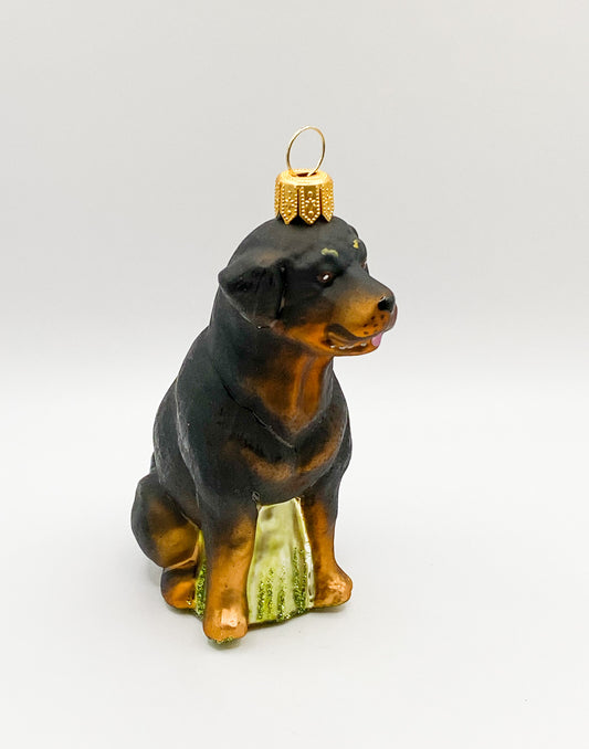 Sitzender Rottweiler Hund