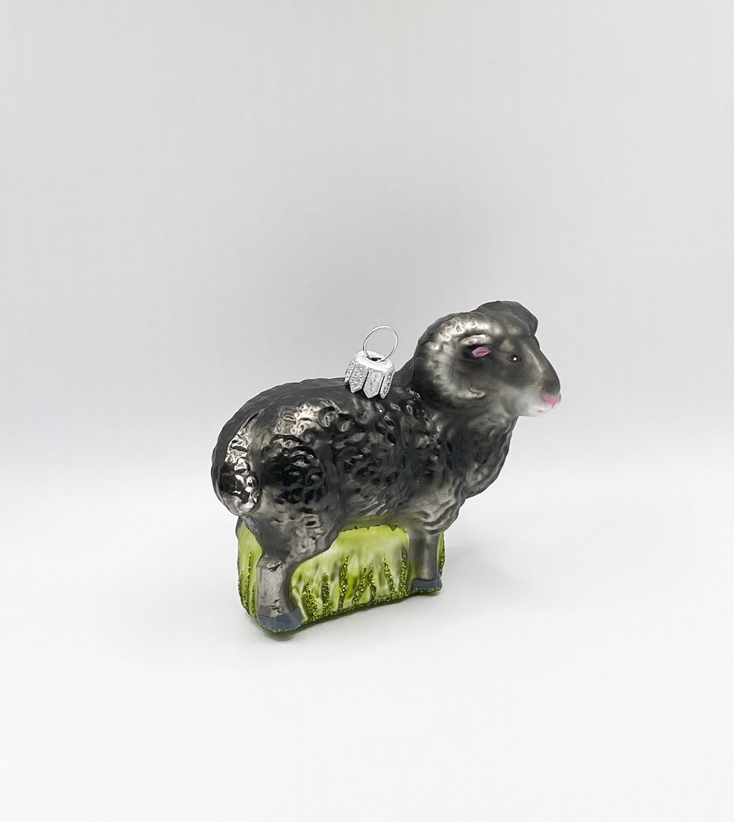 Schwarzer Widder, Schafbock