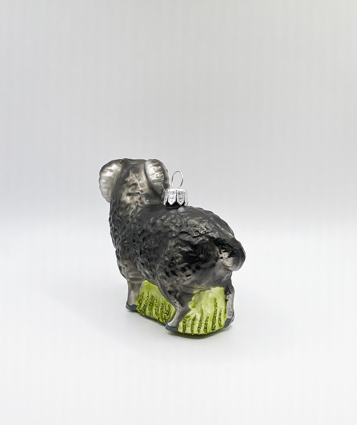 Schwarzer Widder, Schafbock