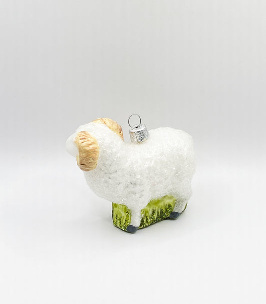 Weisser Widder, Schafbock