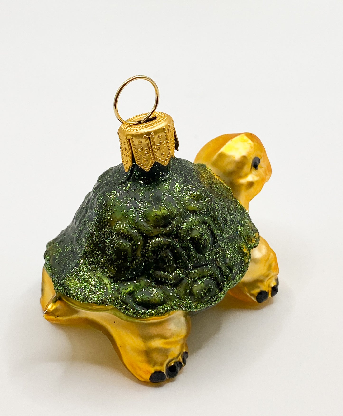 Small green turtle