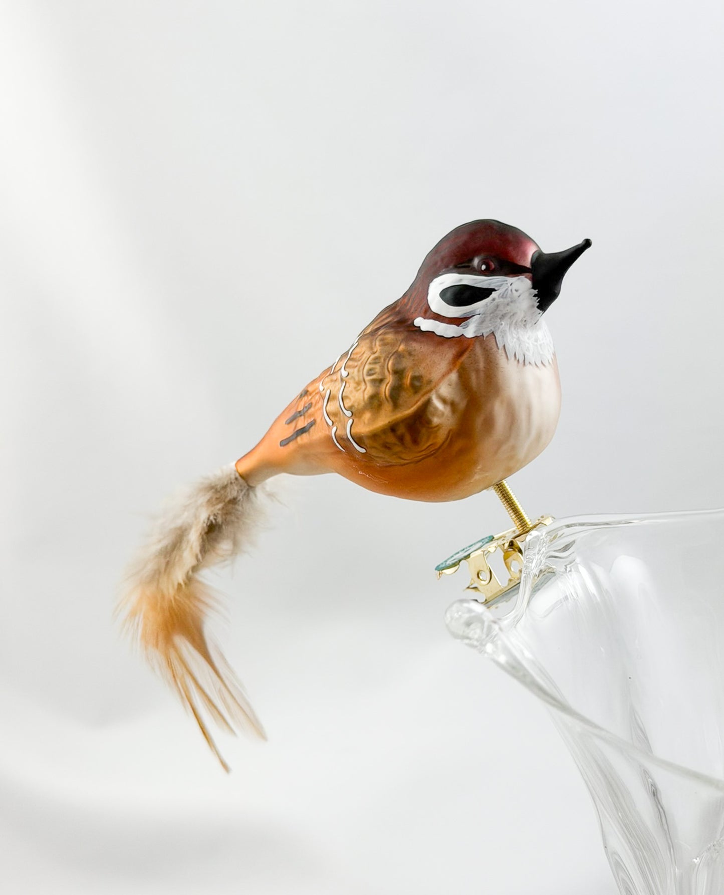 Dicker Feld-Sperling, Feld-Spatz mit hellbrauner Naturfeder