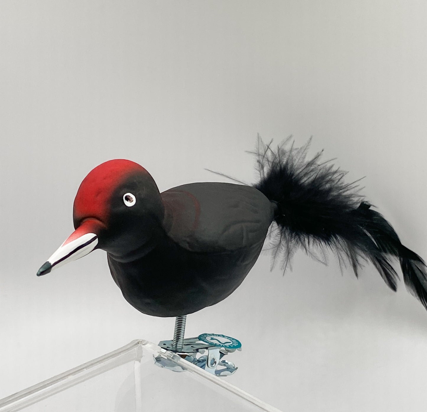 Black woodpecker