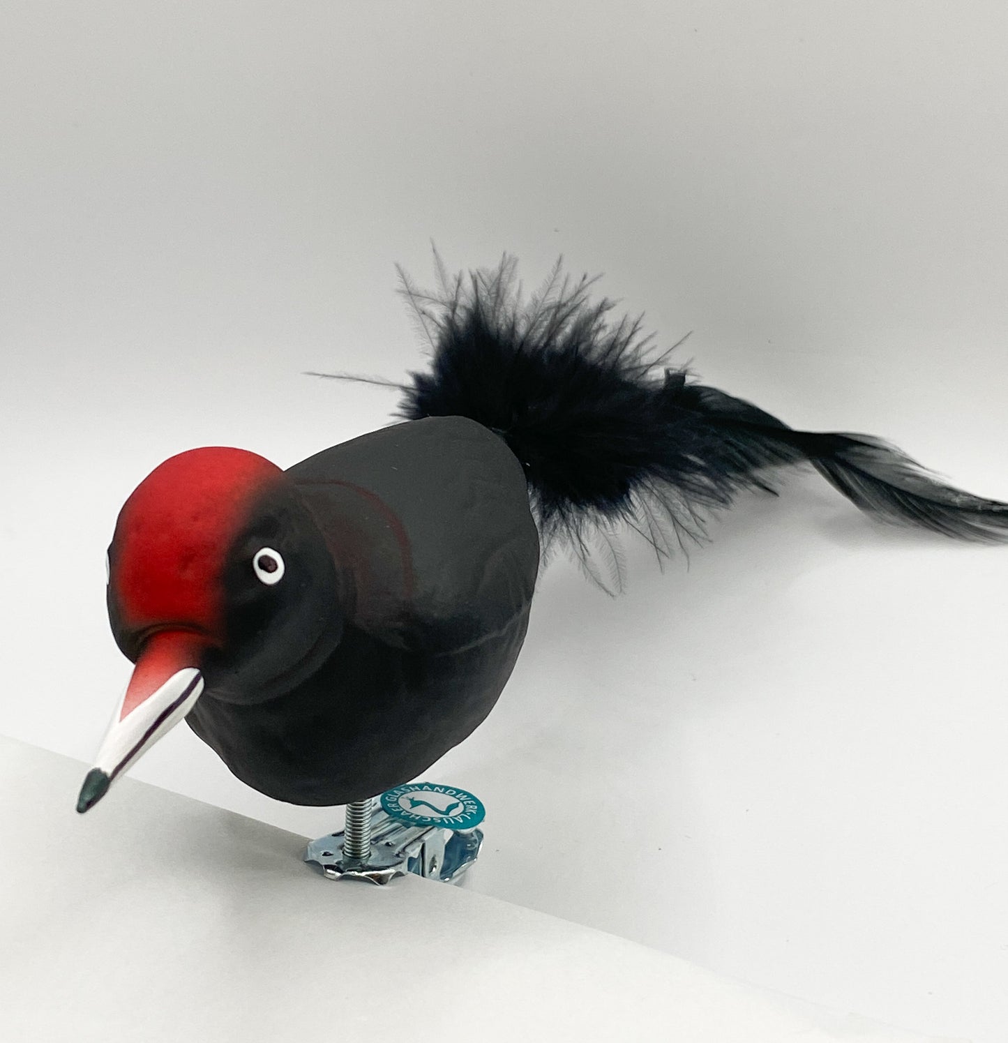 Black woodpecker