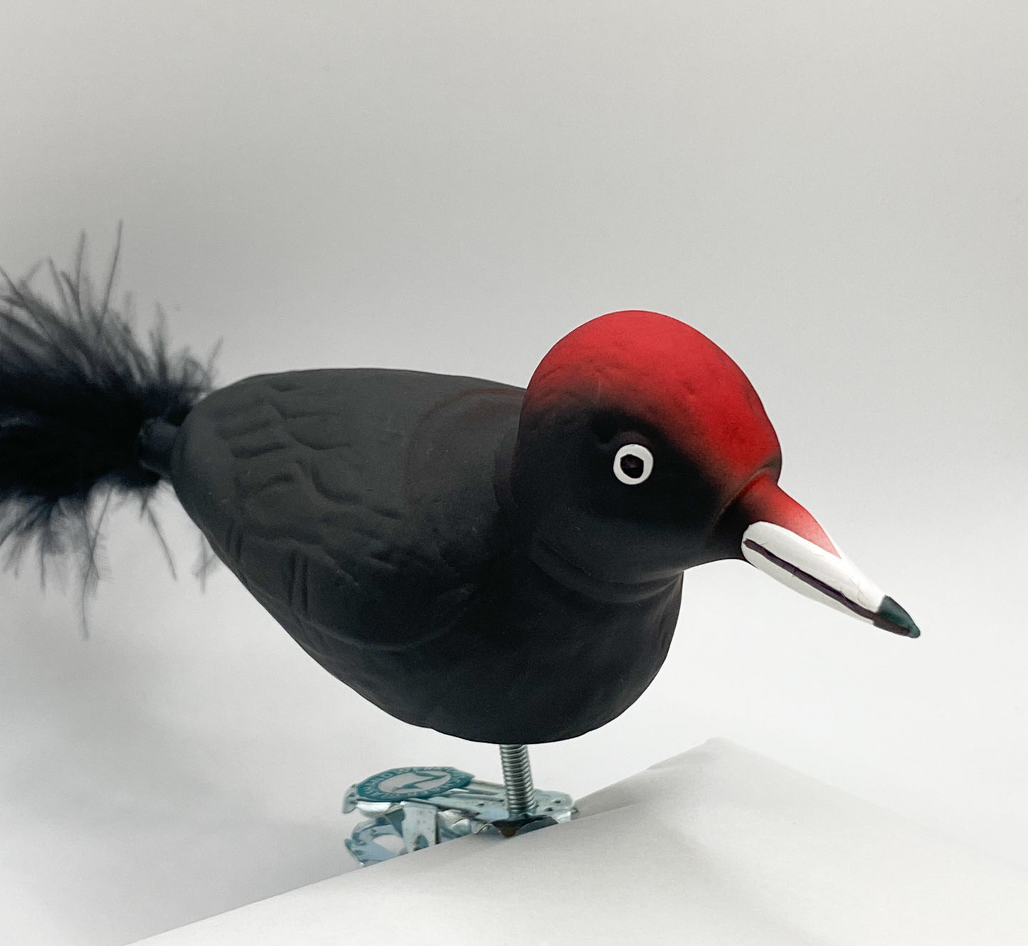Black woodpecker