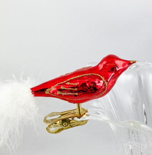 Rotes Vögelchen mit weissem Schwanz