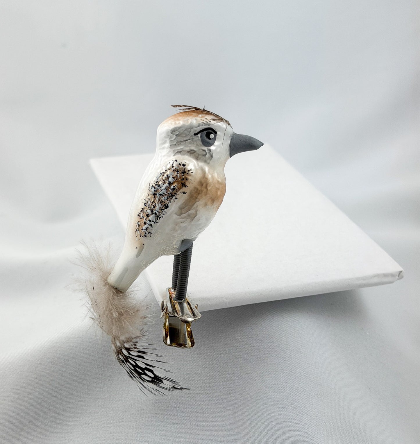 Little woodpecker on clip