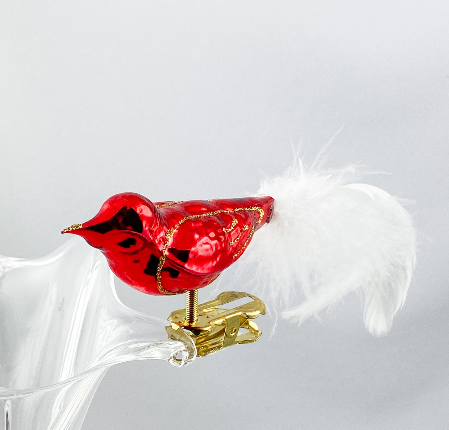 Little red bird with white tail