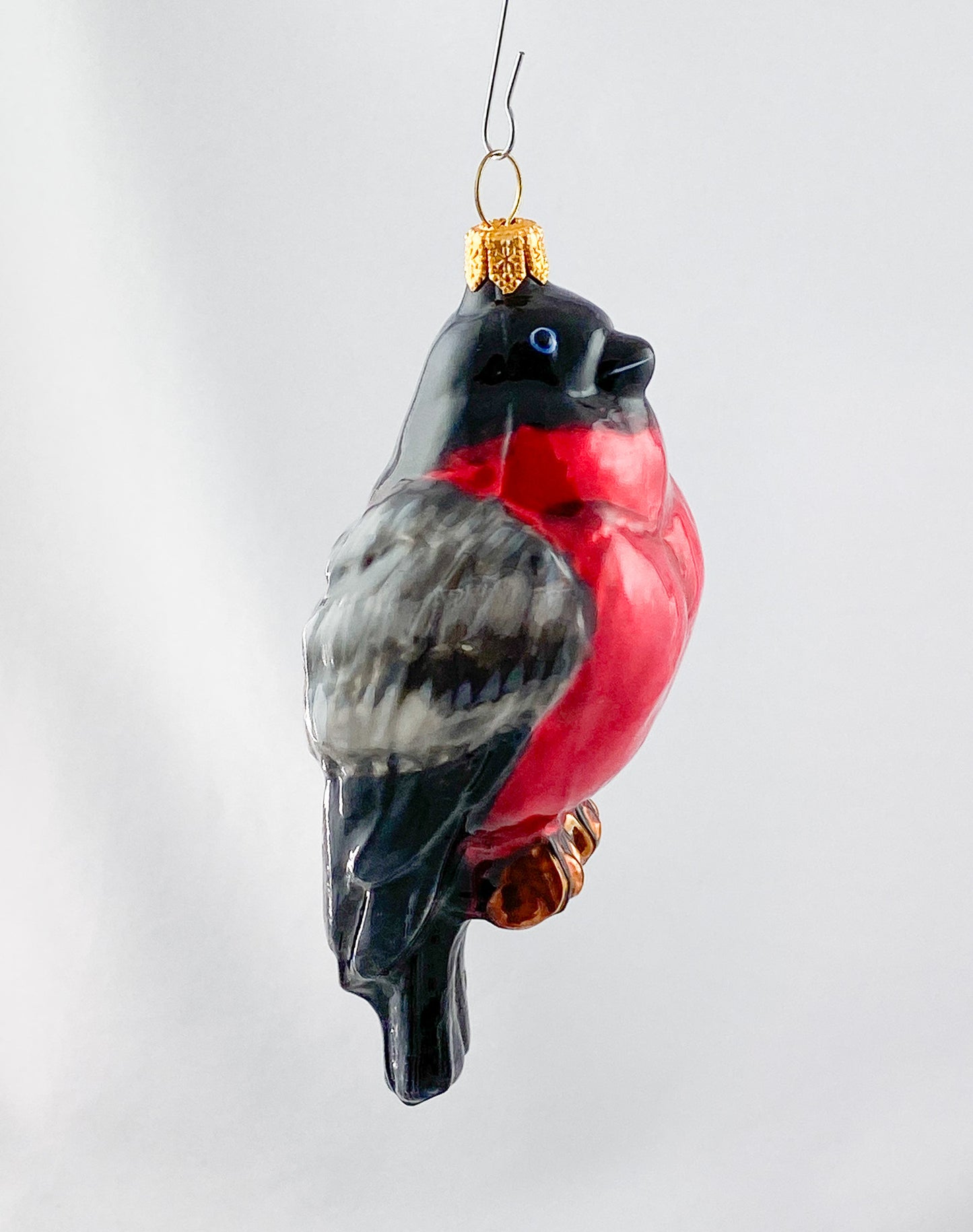 Rotkehlchen KOMOZJA MOSTOWSKI