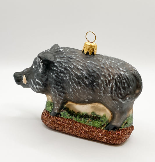 Schwarzer Keiler, Wildschwein