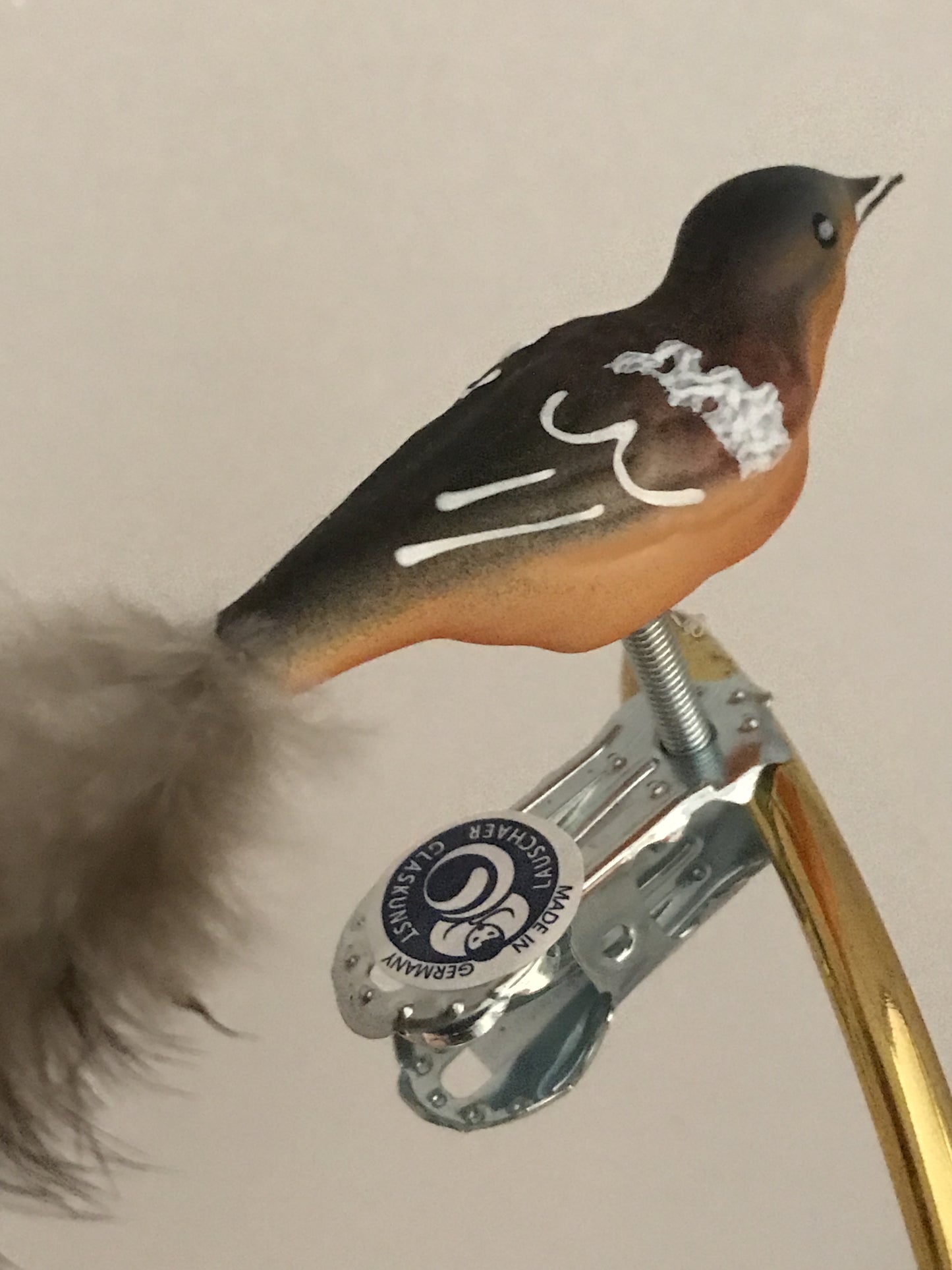 15557