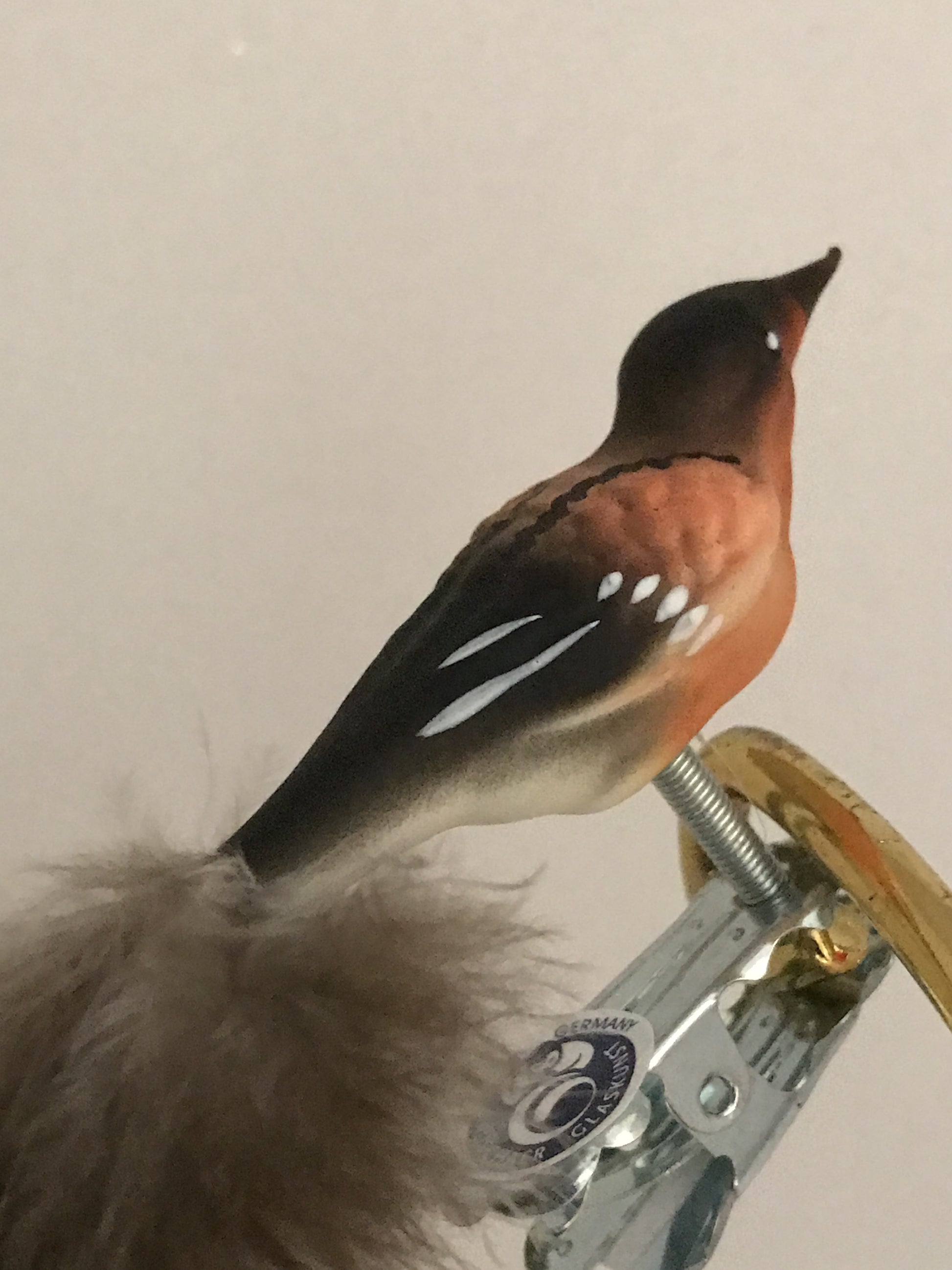 15560