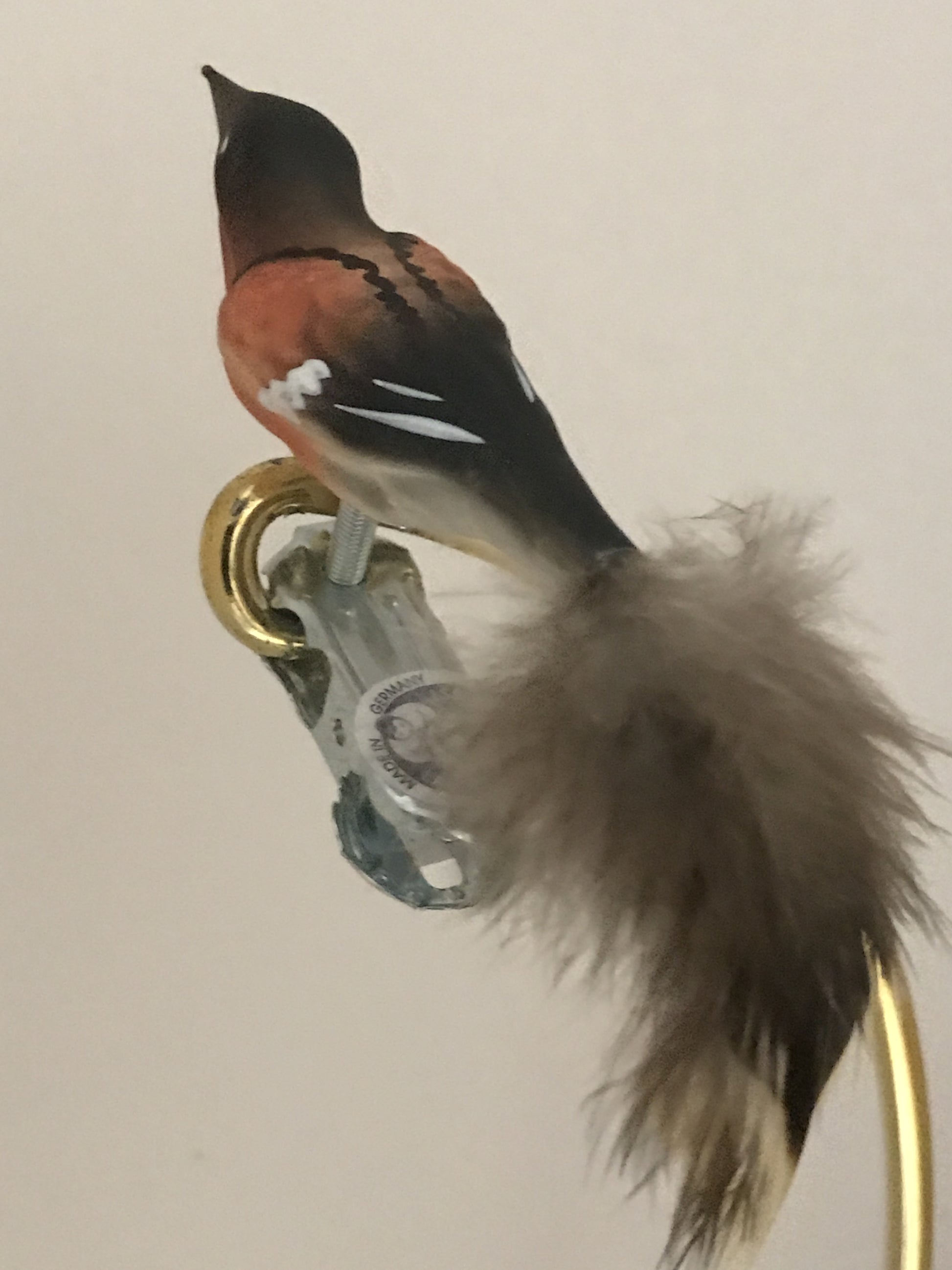 15561