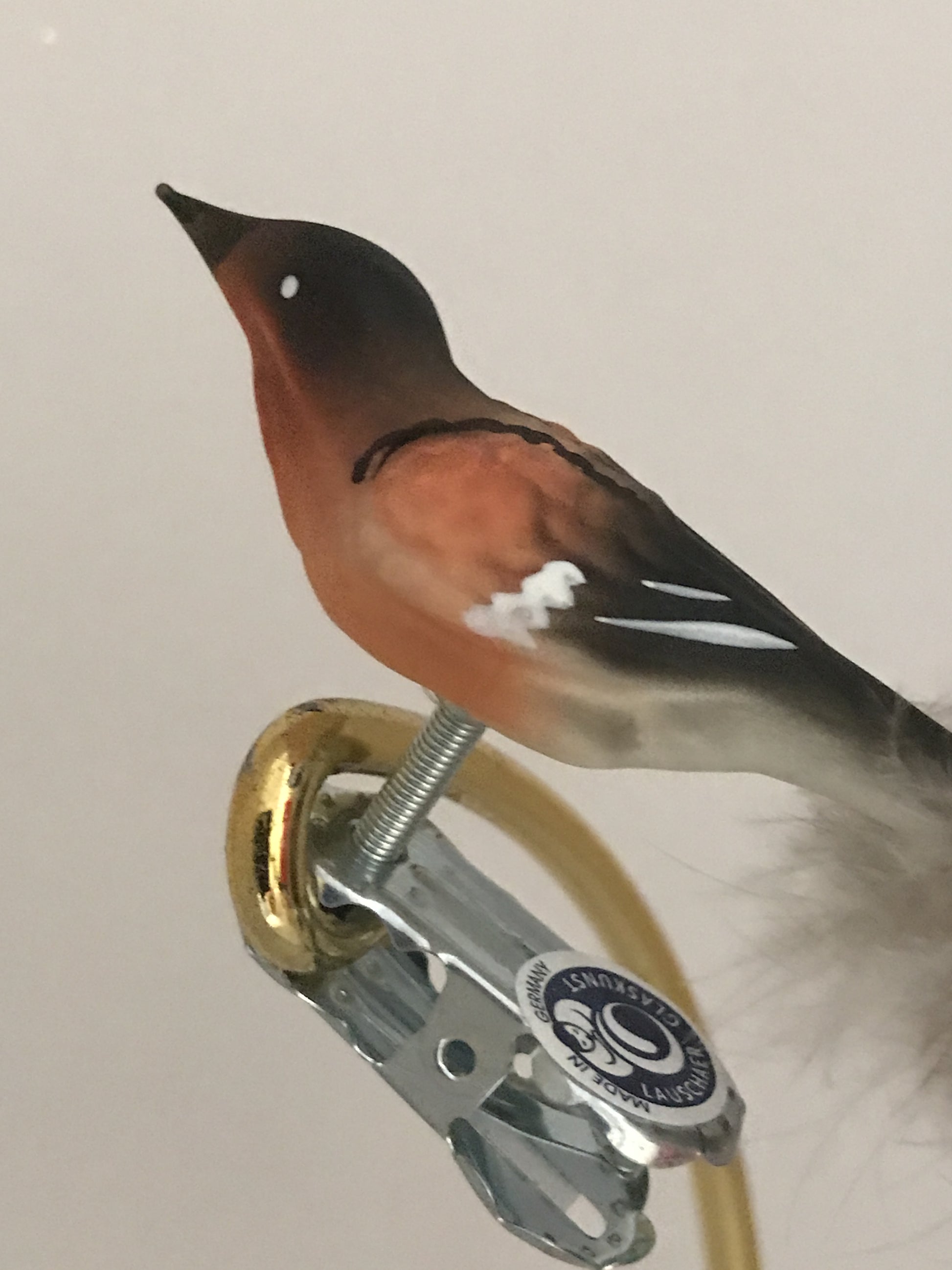 15562