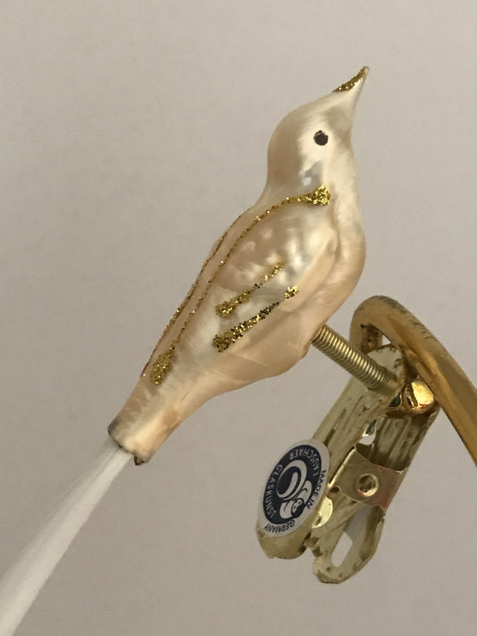 15584