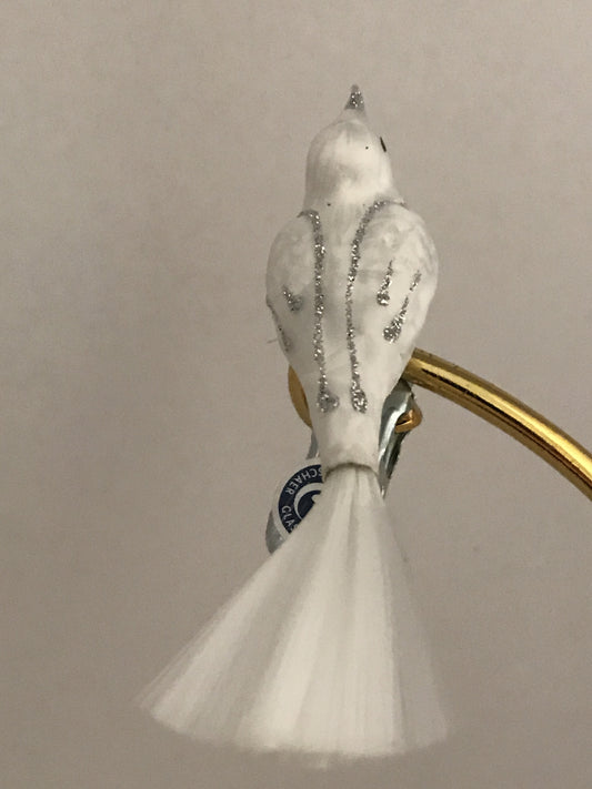 15589