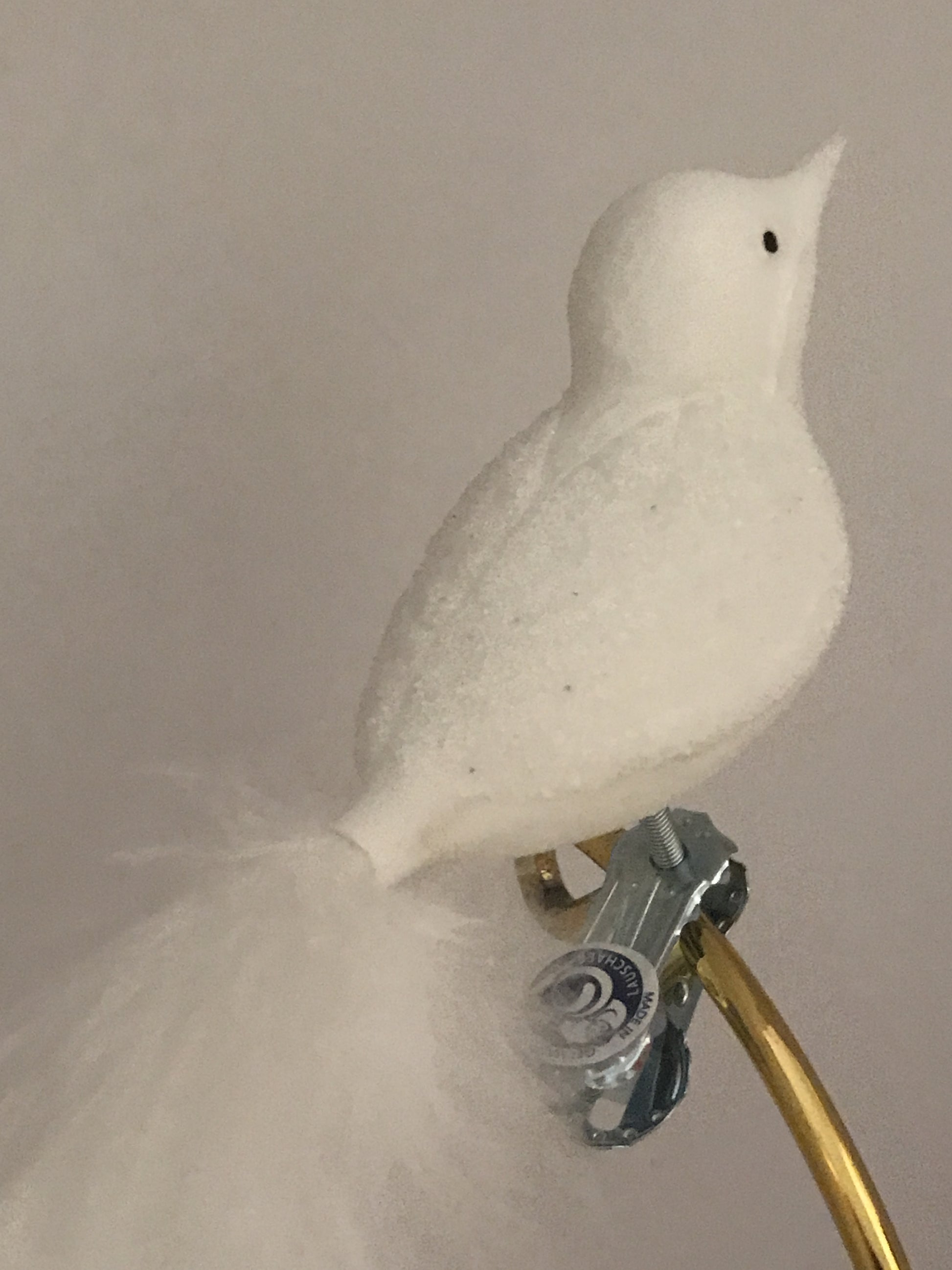 15646
