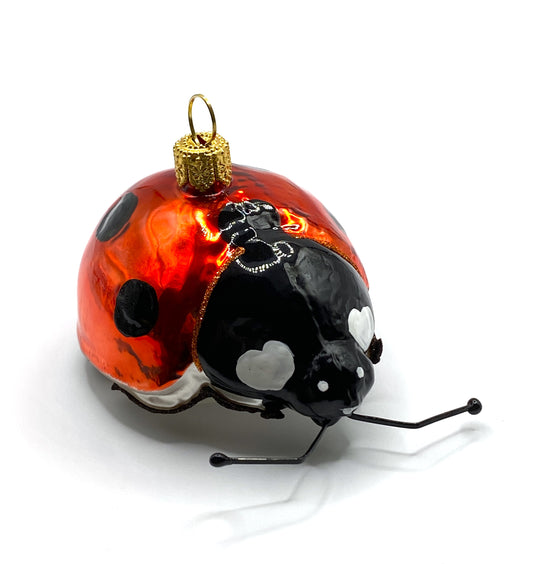 Baumschmuck-Christbaumschmuck-Marienkaefer-Glueckskaefer-Glueckssymbol-weihnachts-deko-ch-Galerie-Luechinger-1-Kopie