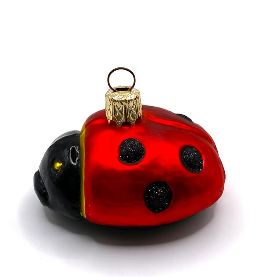 Baumschmuck-Christbaumschmuck-Marienkaefer-Glueckskaefer-Glueckssymbol-weihnachts-deko-ch-Galerie-Luechinger-1MfPpKGrHUZRET