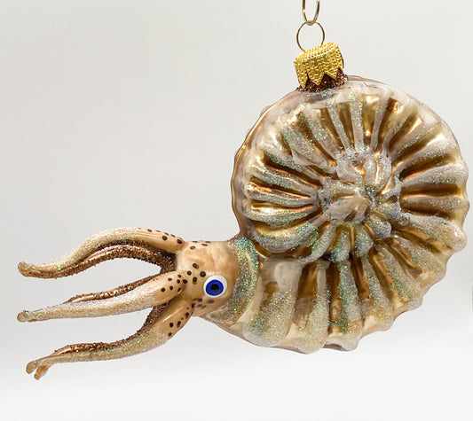 Baumschmuck-Christbaumschmuck-nautilus-tintenfisch-kopffuesser-meer-weihnachts-deko-ch-Galerie-Luechinger1