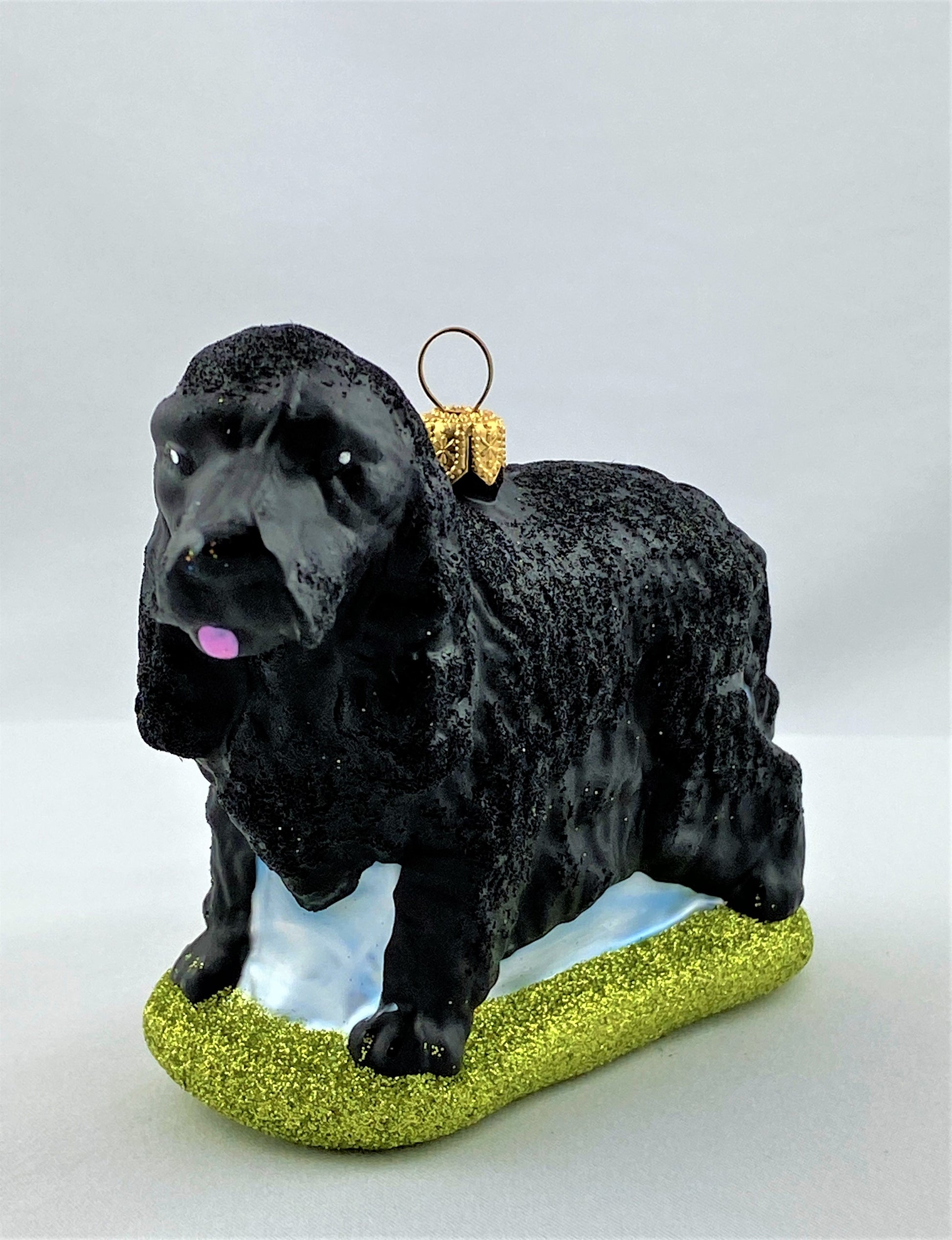 IMG_1169hsc2XFm1aPrVT