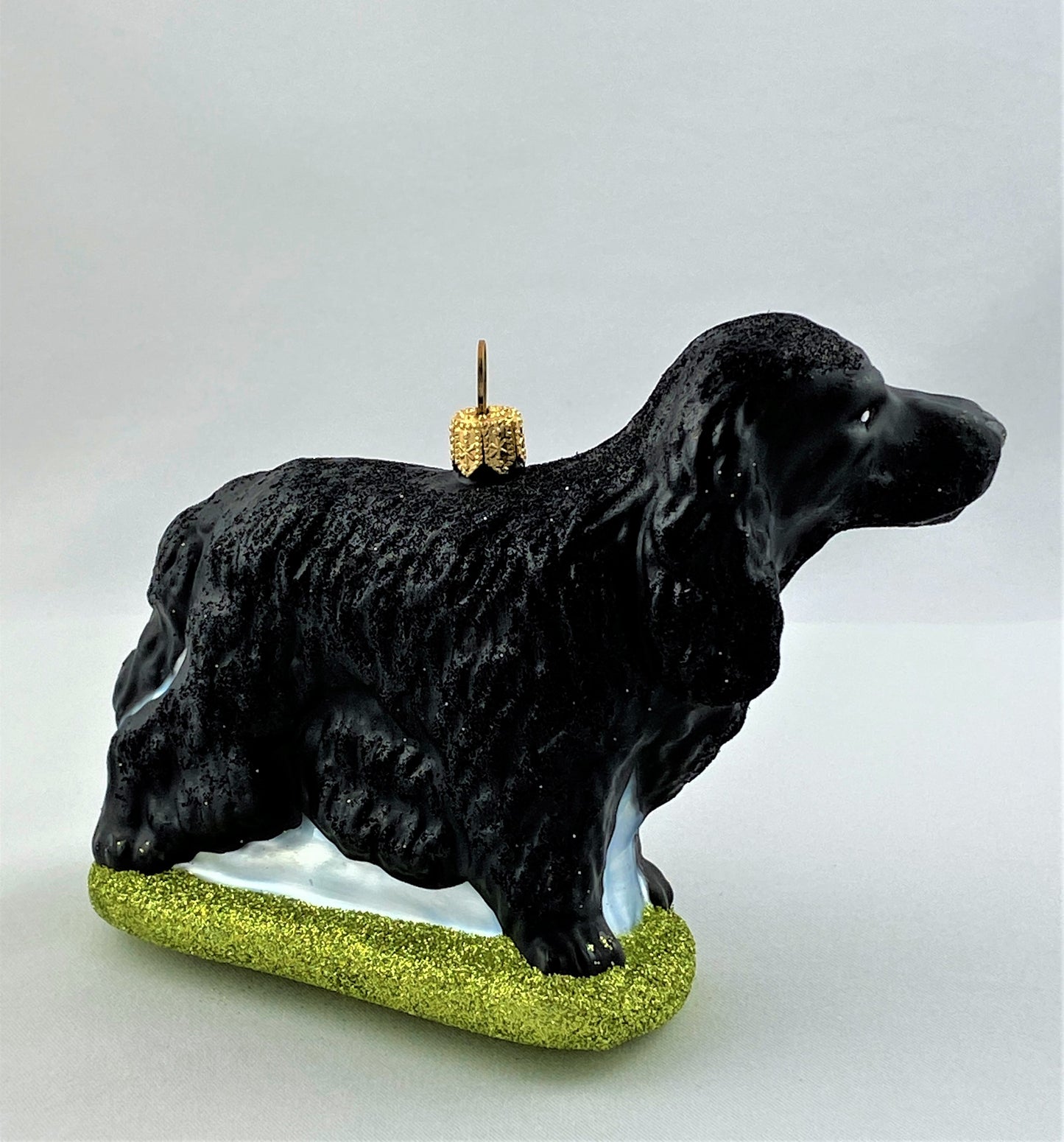 IMG_1170gZKYVX84eNUSm