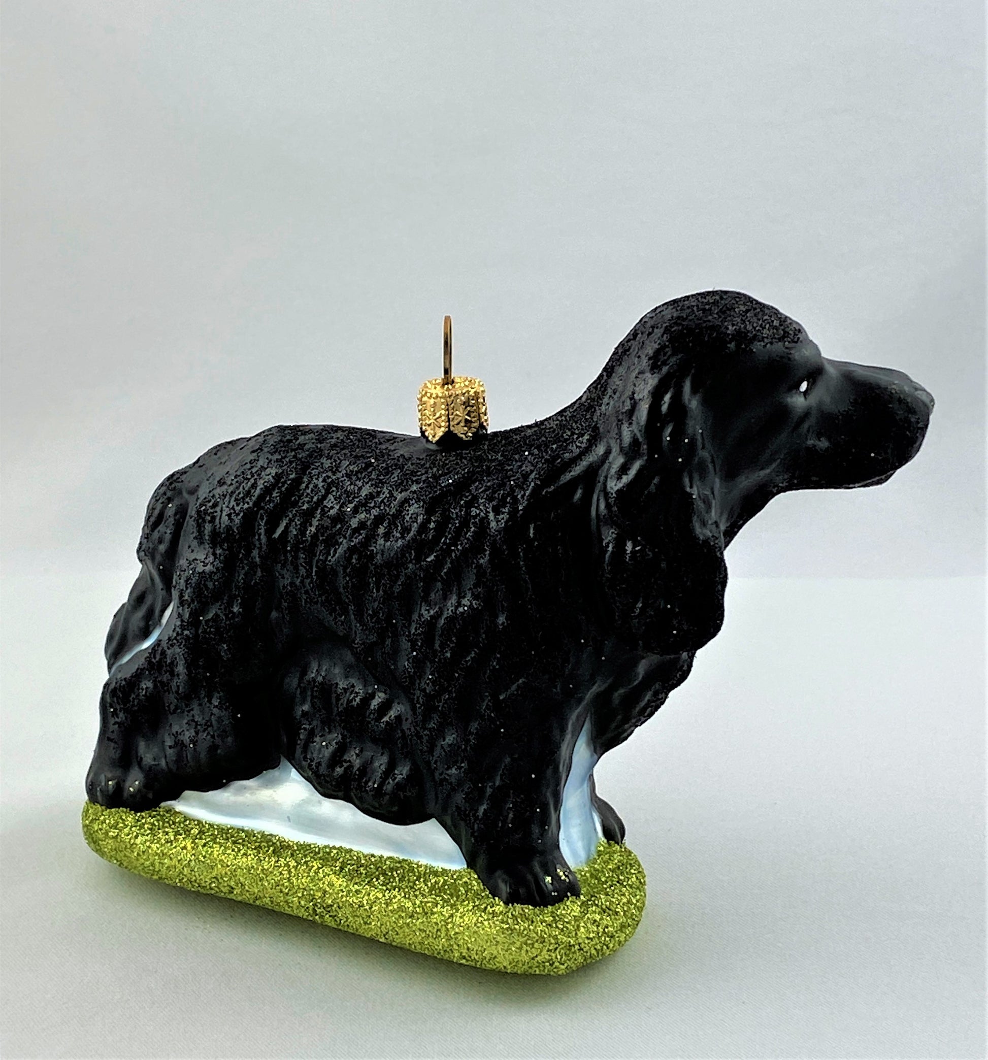 IMG_1170gZKYVX84eNUSm