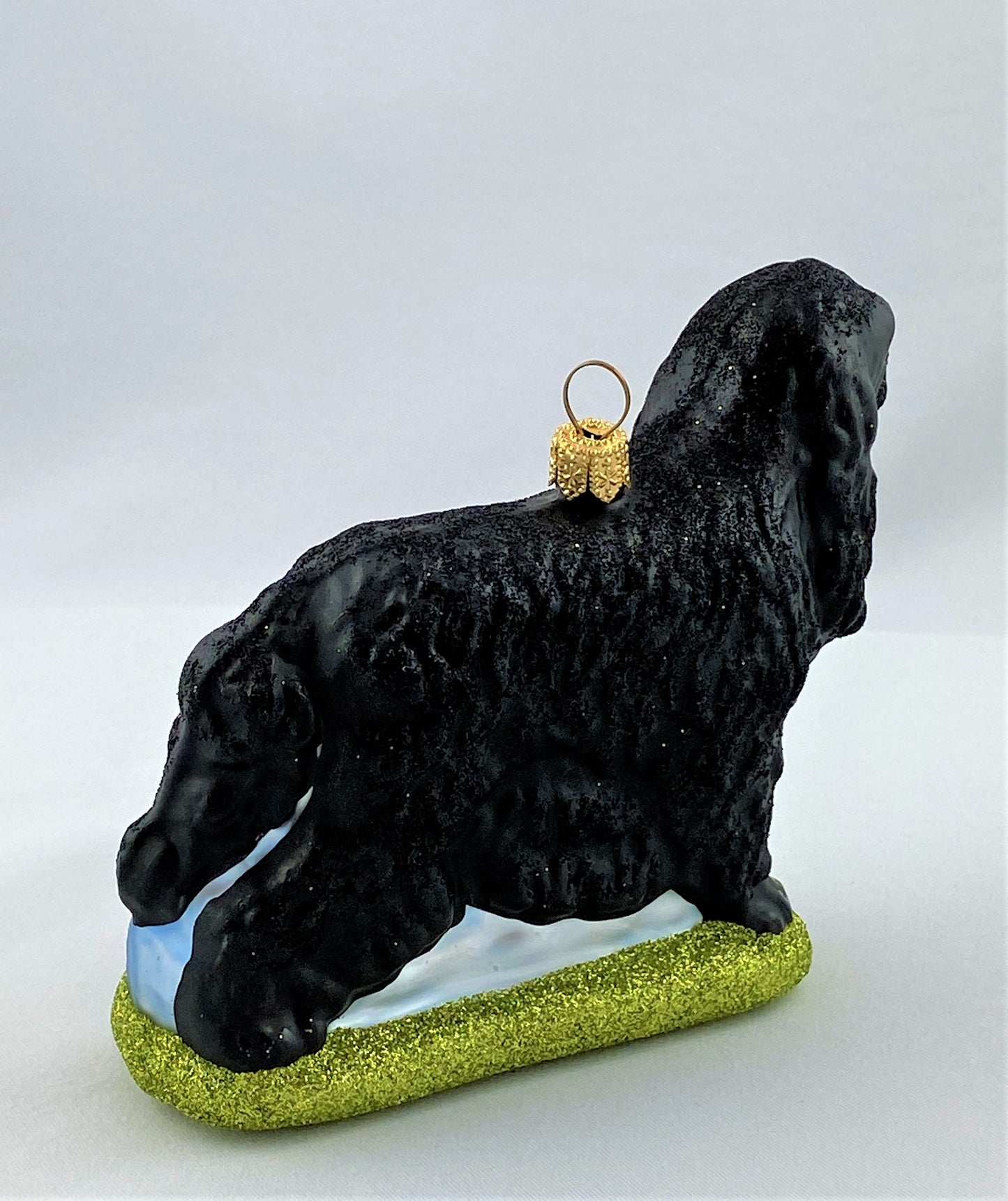 IMG_1171glPtIB26eyEUG