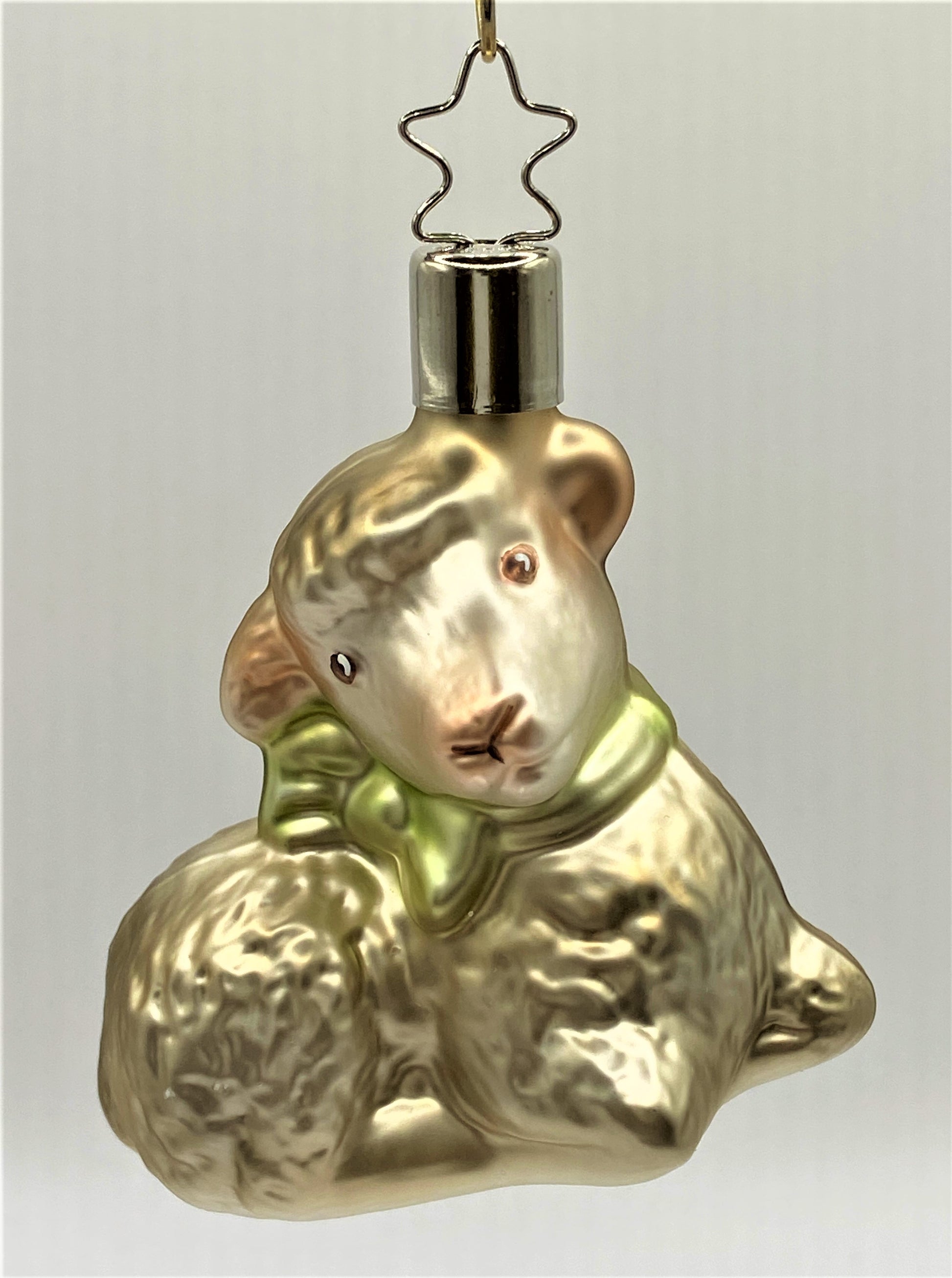 IMG_6802e5eORxyj0i9RT