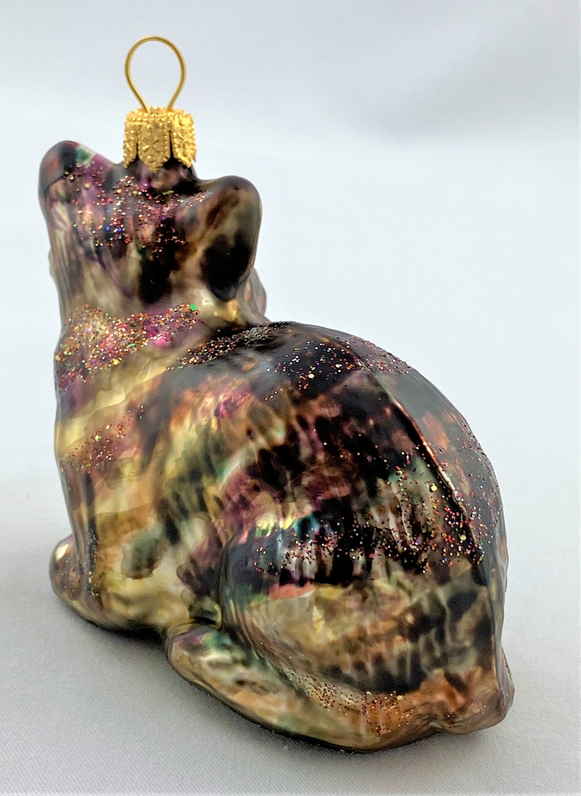 IMG_7512tPAMSG5E52Igw