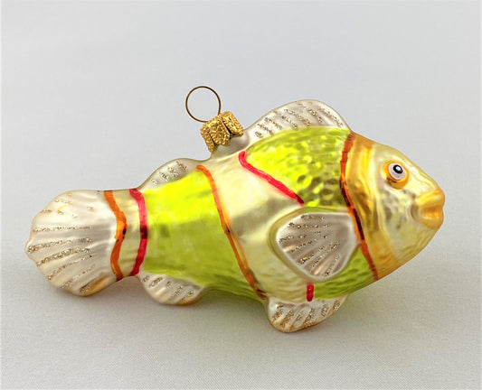 IMG_8580Qz6j0fooWn6fb