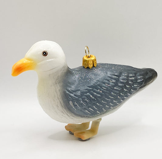 Möwe