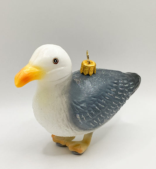Möwe