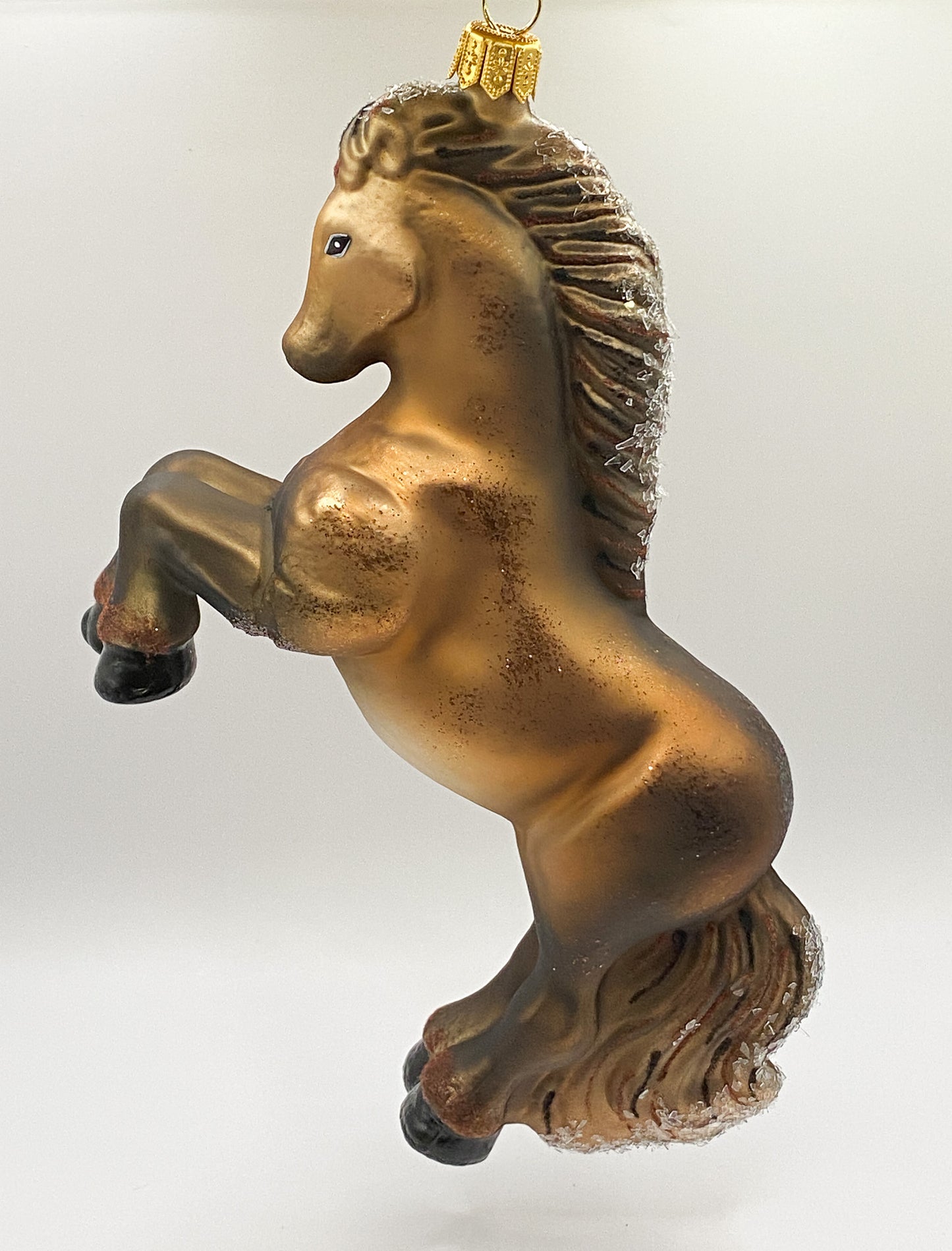 Brown horse with black mane