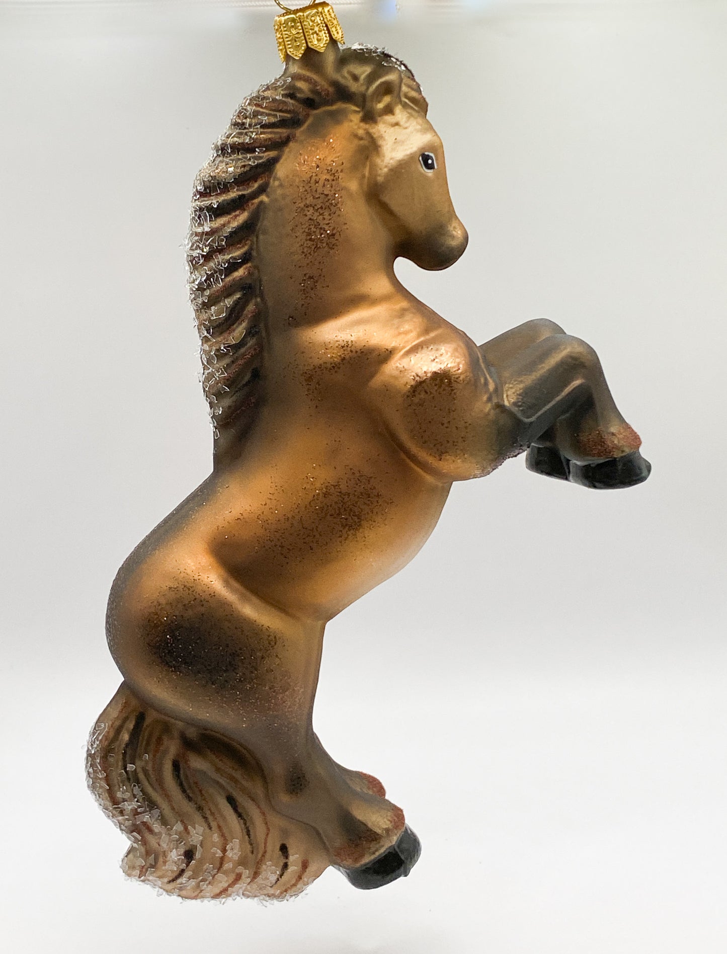 Brown horse with black mane