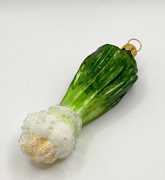 Bund Frühlingszwiebeln