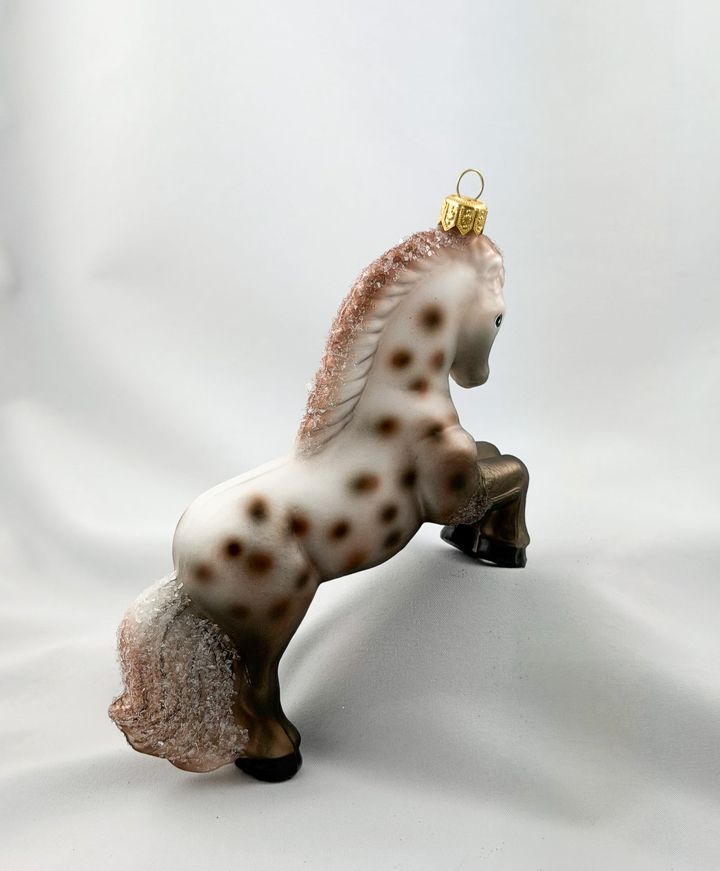 Appaloosa Stute, Pferd