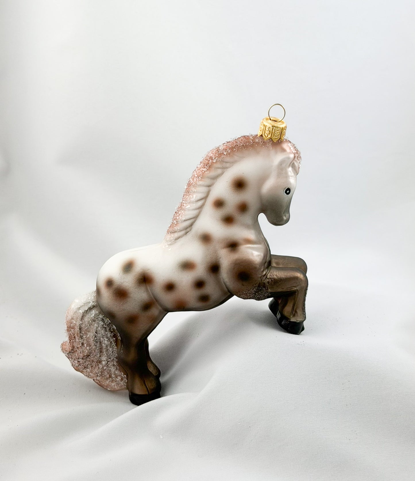 Appaloosa Stute, Pferd