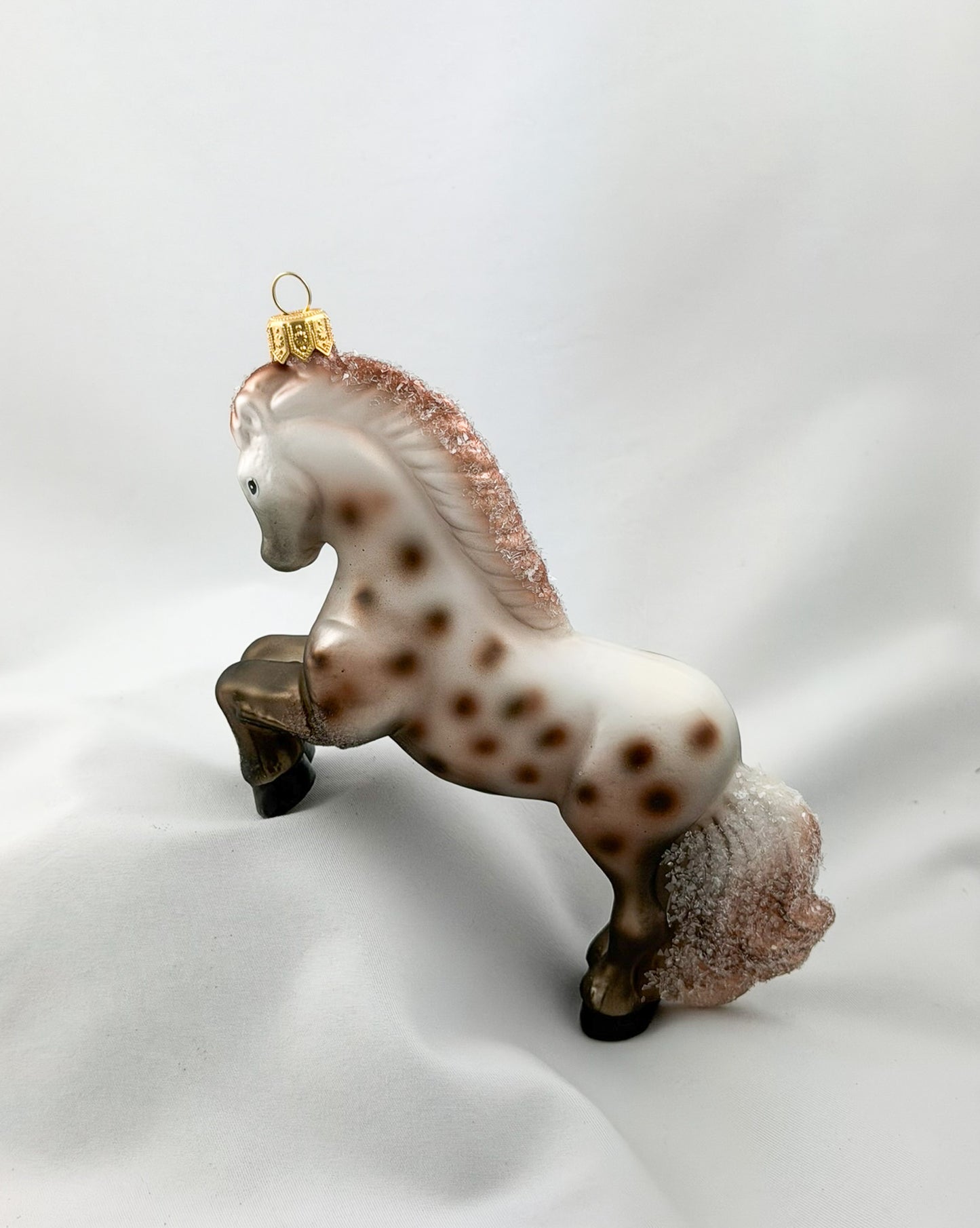 Appaloosa Stute, Pferd