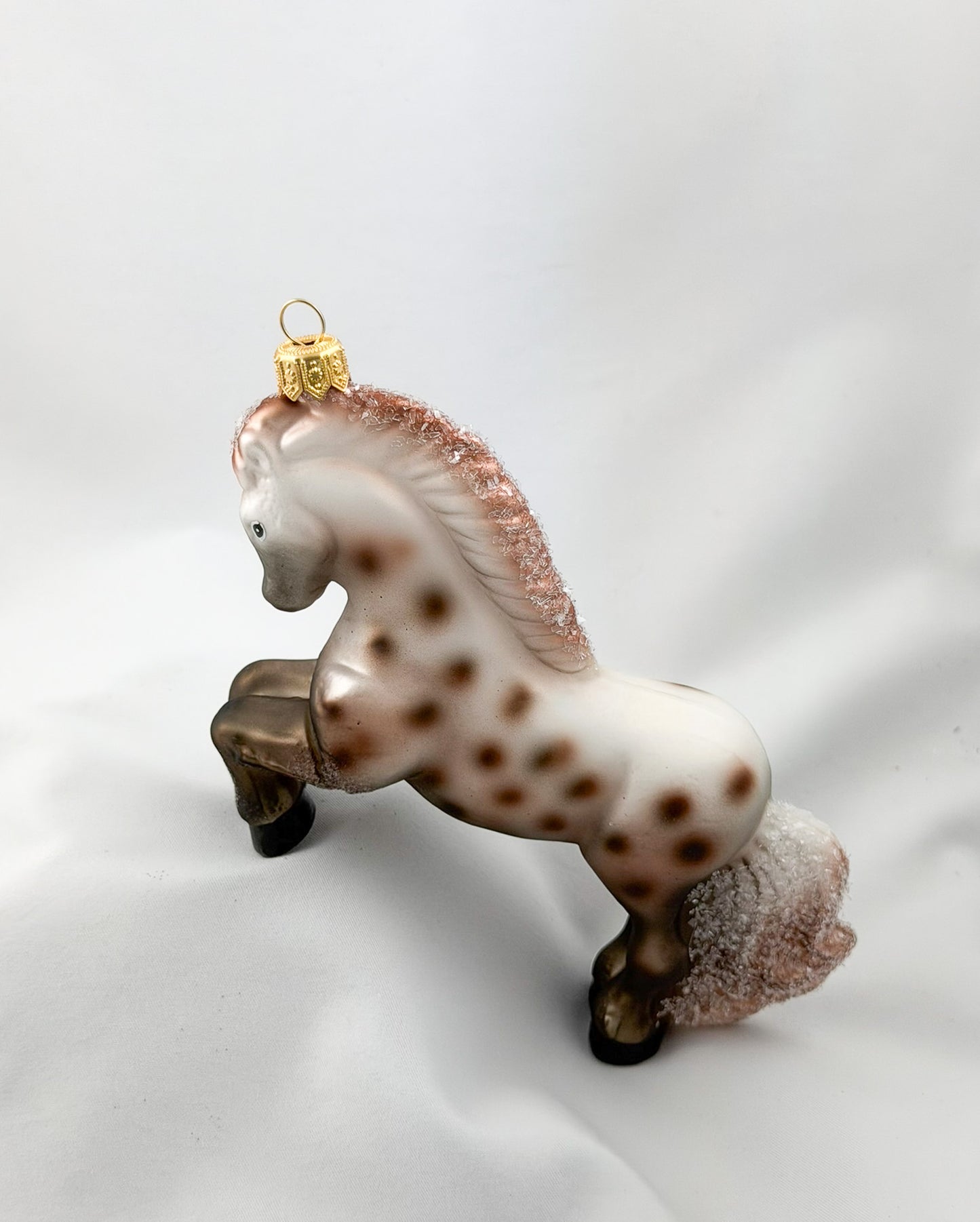 Appaloosa Stute, Pferd