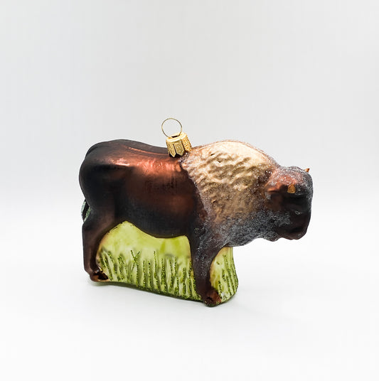 American bison