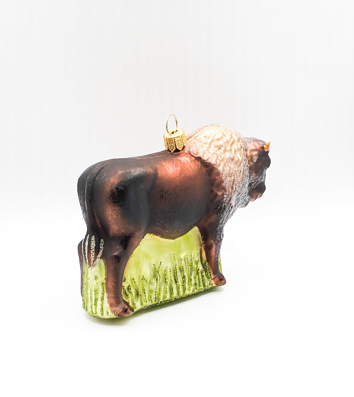 American bison