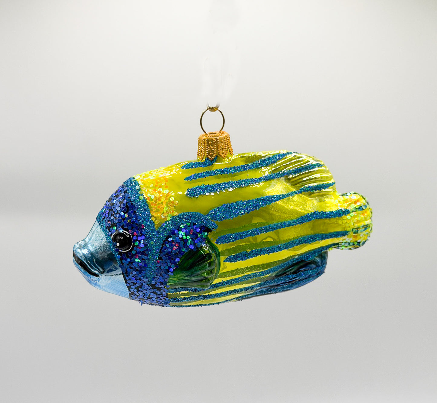 Bluetip Grouper Reef Fish