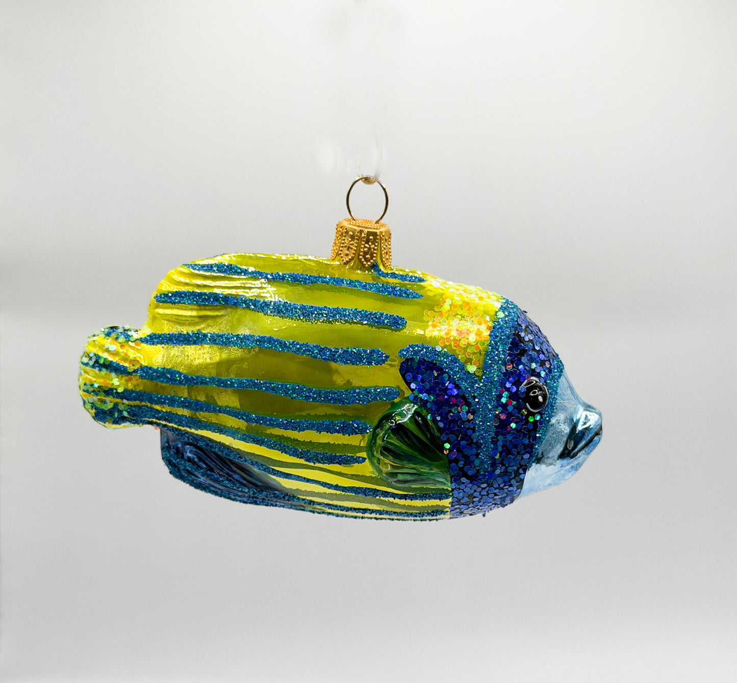Bluetip Grouper Reef Fish