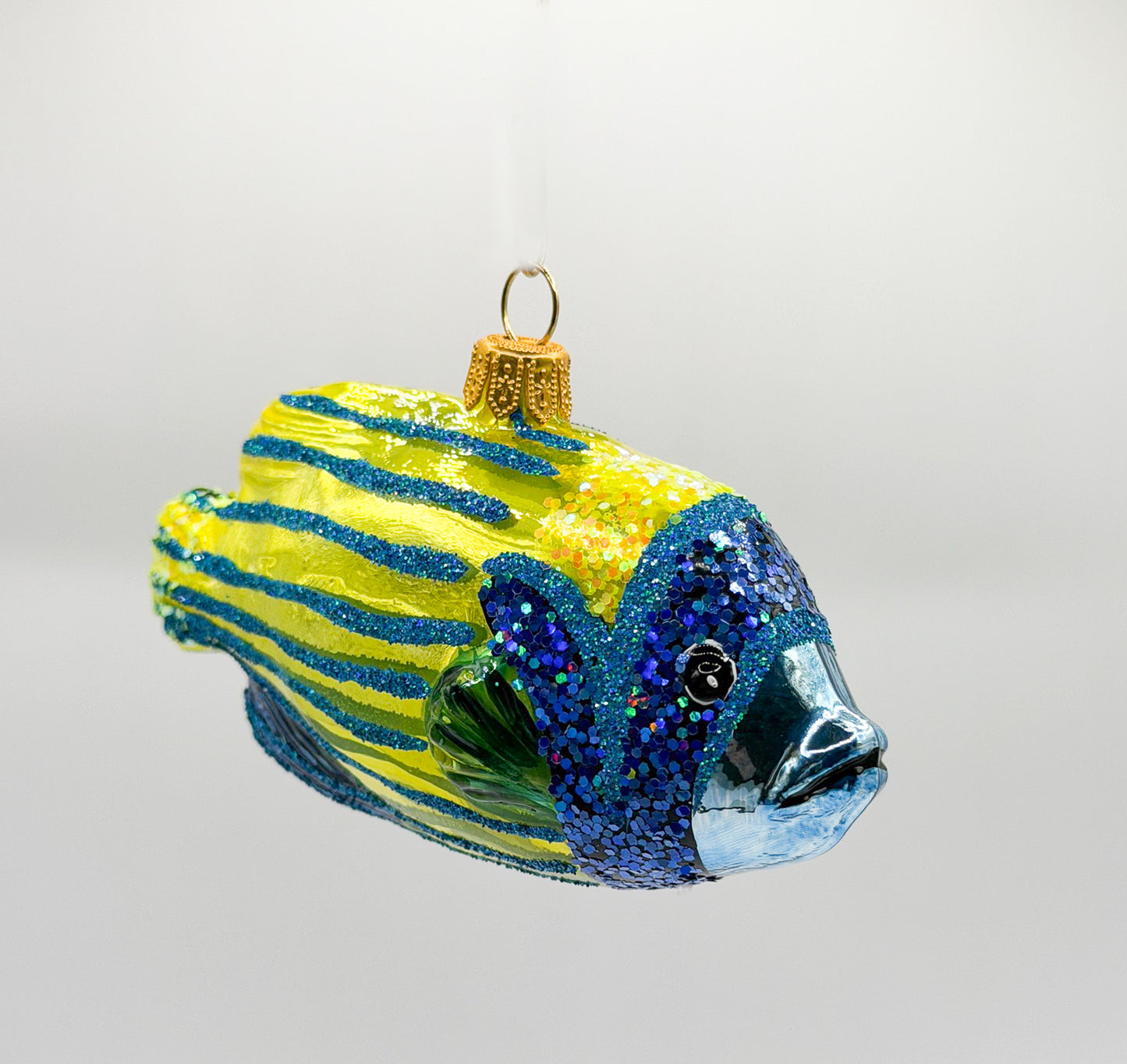 Bluetip Grouper Reef Fish